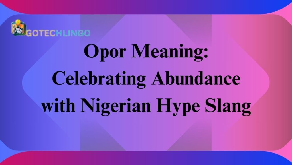 Opor Meaning: Celebrating Abundance with Nigerian Hype Slang