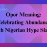 Opor Meaning: Celebrating Abundance with Nigerian Hype Slang