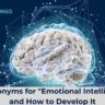 14 Synonyms for "Emotional Intelligence" and How to Develop It