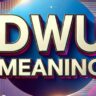 DWU Meaning: Understanding the Diverse Definitions of this Versatile Acronym