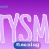 TYSM Meaning