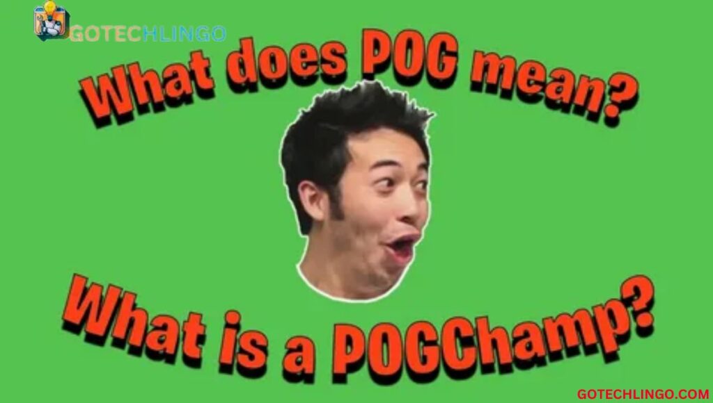 What does POG mean? Definition, Use Cases, Examples