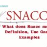 What does Snacc mean? Definition, Use Cases, Examples