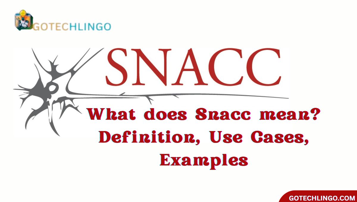 What does Snacc mean? Definition, Use Cases, Examples