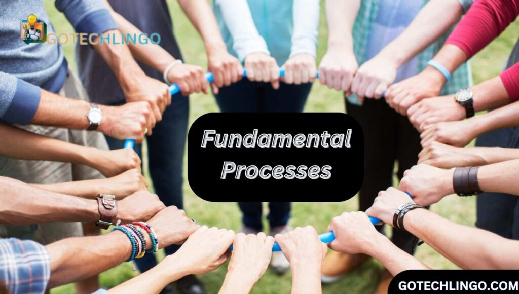 Fundamental Processes